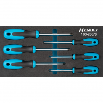 Jogo de Chaves profissionais HAZET TORX